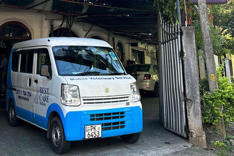 Odoo - Sample 3 for three columns