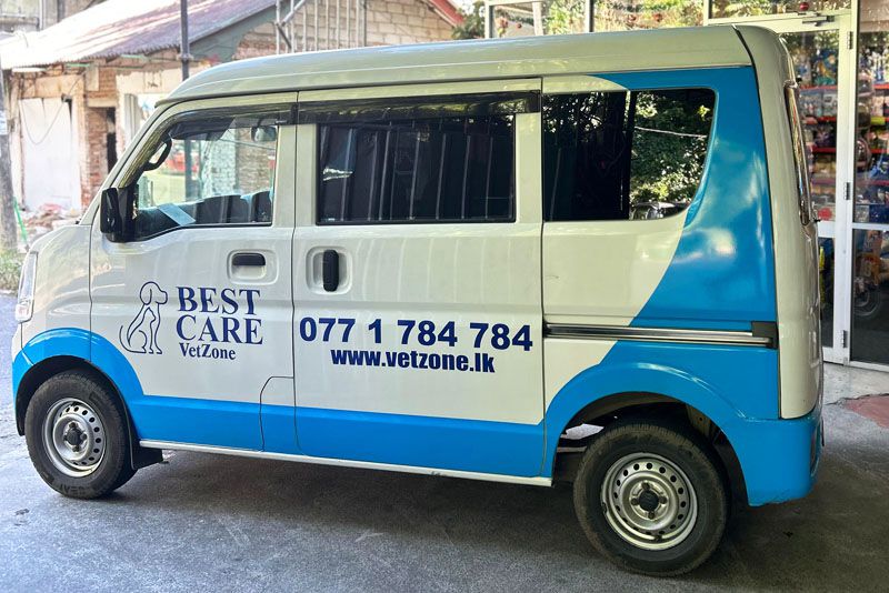 Odoo - Sample 3 for three columns